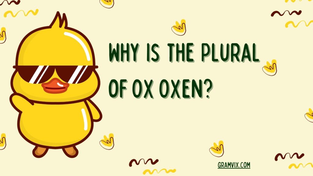 Why Is the Plural of Ox Oxen?