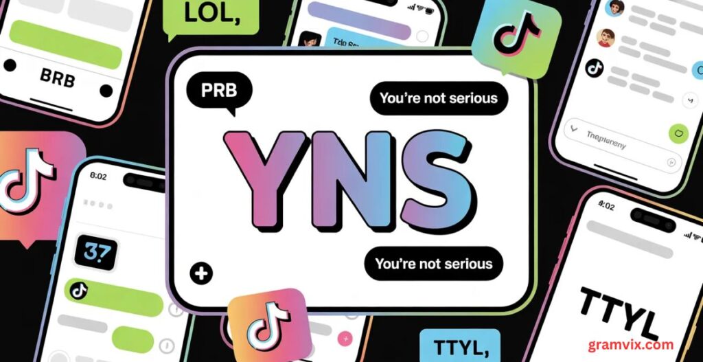 Why YNS Fits Meme Culture