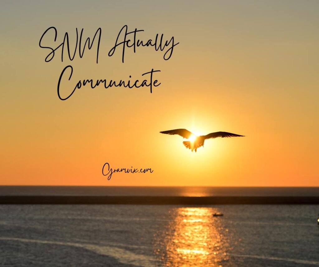 SNM Actually Communicate