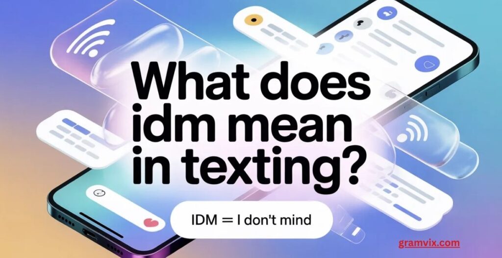 IDM meaning in text