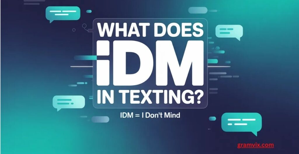IDM meaning in text