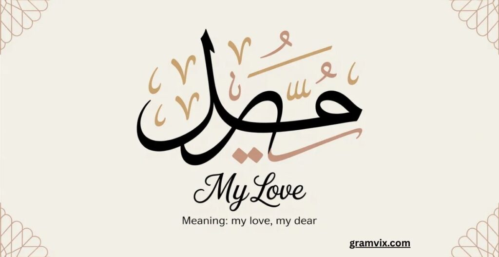 Habibti Meaning in English Slang