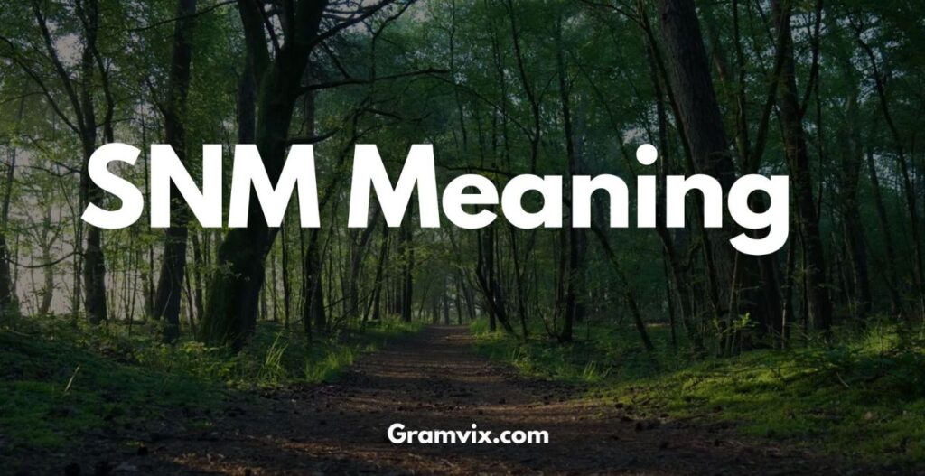 SNM Meaning