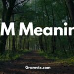SNM Meaning in Text: What It Stands For and How to Use It Properly (2026)