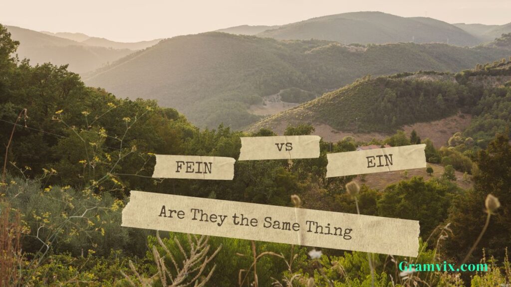FEIN vs EIN