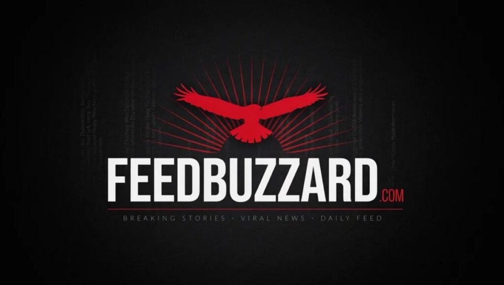 Latest FeedBuzzard.com: What It Actually Is and How to Use It in 2026