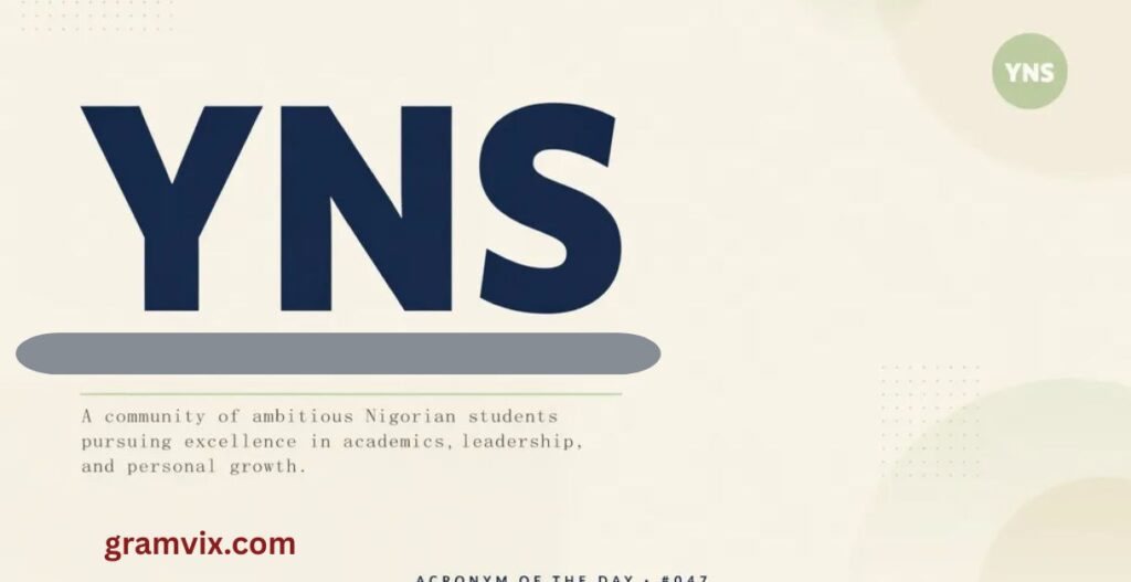 What Does YNS Mean? Full YNS Meaning Slang Guide (2026 Explained)